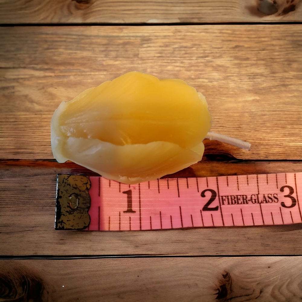 Pure beeswax mini tulip set of 5 handmade candles / great gifts for mothers day - Picture 2 of 6